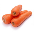 胡萝卜（老）, 又叫黄萝卜、金笋、丁香萝卜、红芦菔、甘笋、黄根、卜香菜、药萝卜、赤珊瑚